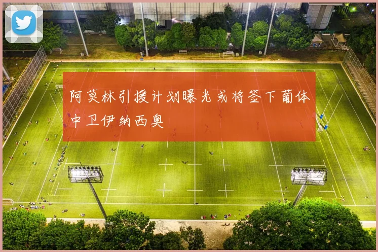 阿莫林引援计划曝光或将签下葡体中卫伊纳西奥
