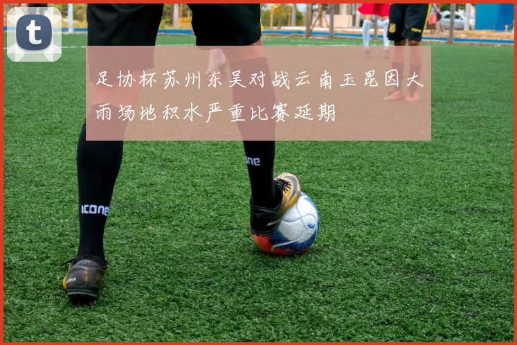 足协杯苏州东吴对战云南玉昆因大雨场地积水严重比赛延期